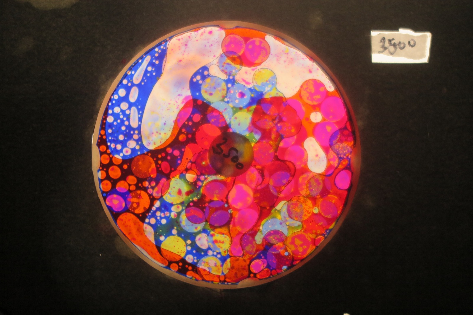 BV3500 bubble vision oil wheel